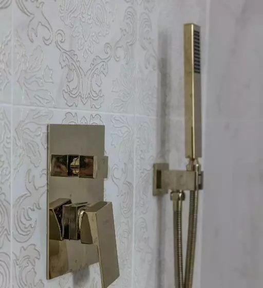 ホテル Vila Central Boutique Satu Mare