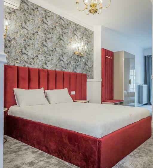 בית מלון כפרי Vila Central Boutique Satu Mare