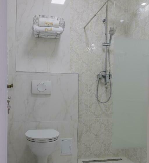 בית מלון כפרי Vila Central Boutique Satu Mare