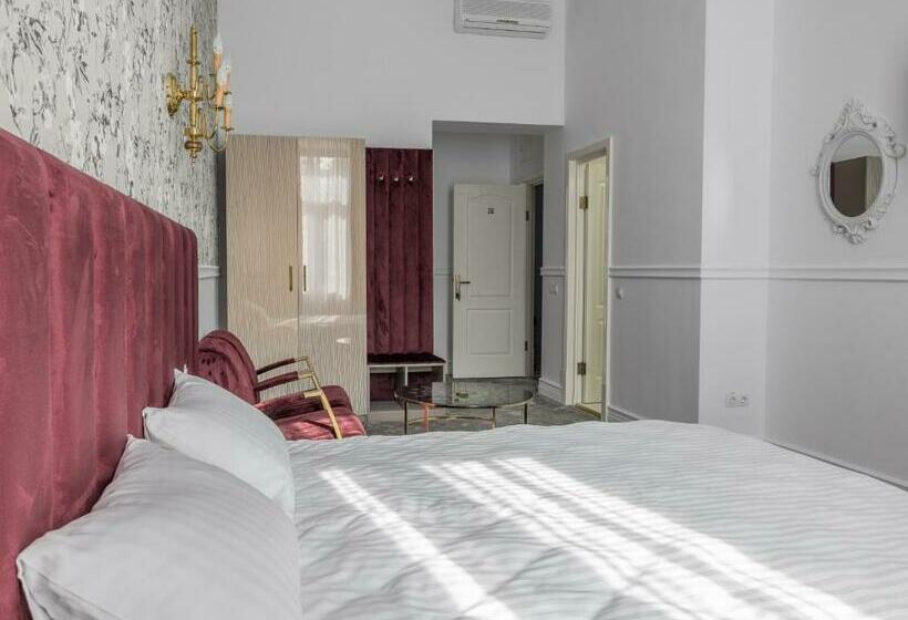 בית מלון כפרי Vila Central Boutique Satu Mare