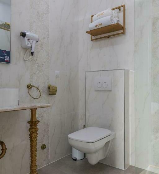 בית מלון כפרי Vila Central Boutique Satu Mare