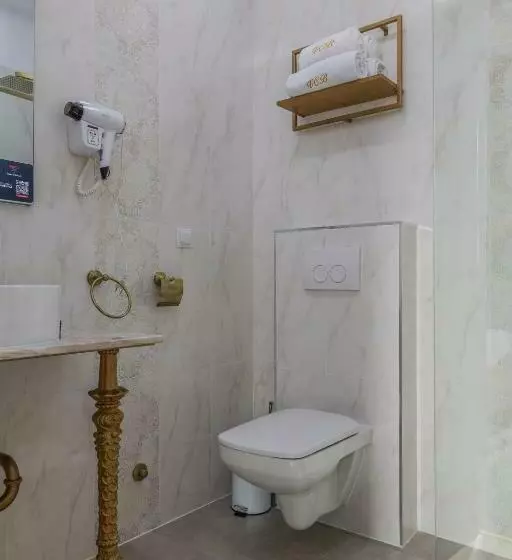 ホテル Vila Central Boutique Satu Mare