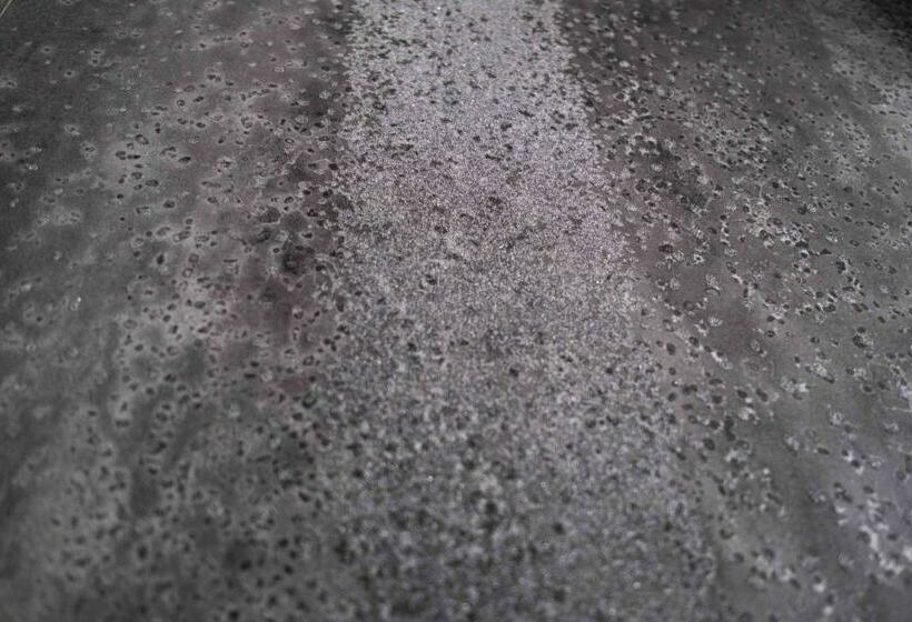 צימר Divina Charme