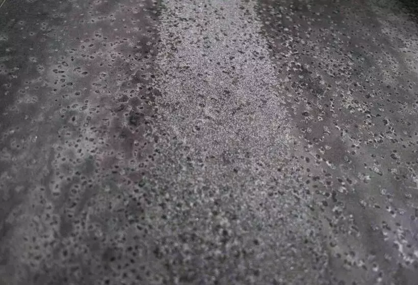 ベッドアンドブレックファースト Divina Charme