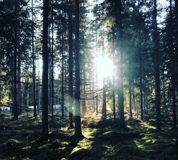 Bed and Breakfast Ruth & Iris Farmhouse