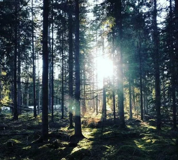 Aamiaismajoitus (B&B) Ruth & Iris Farmhouse