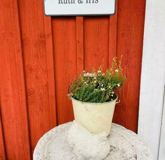 Aamiaismajoitus (B&B) Ruth & Iris Farmhouse