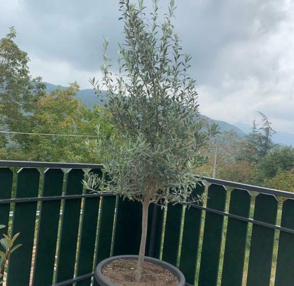 B & B Ca’ D’ Olina