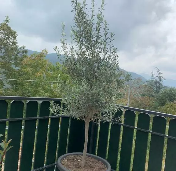 B & B Ca’ D’ Olina