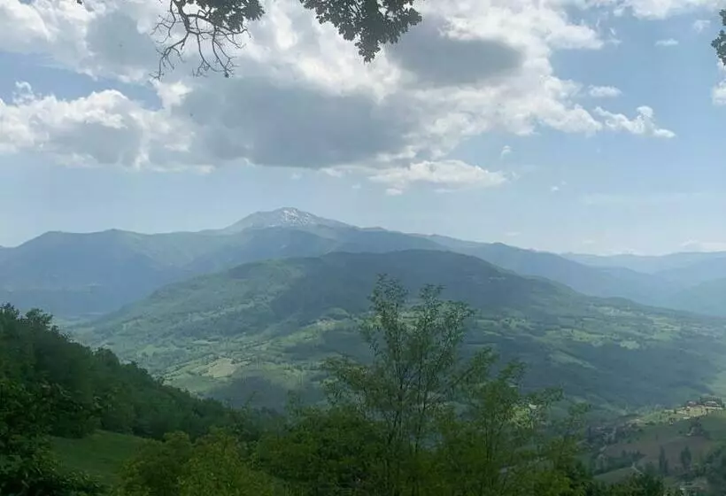 B & B Ca’ D’ Olina