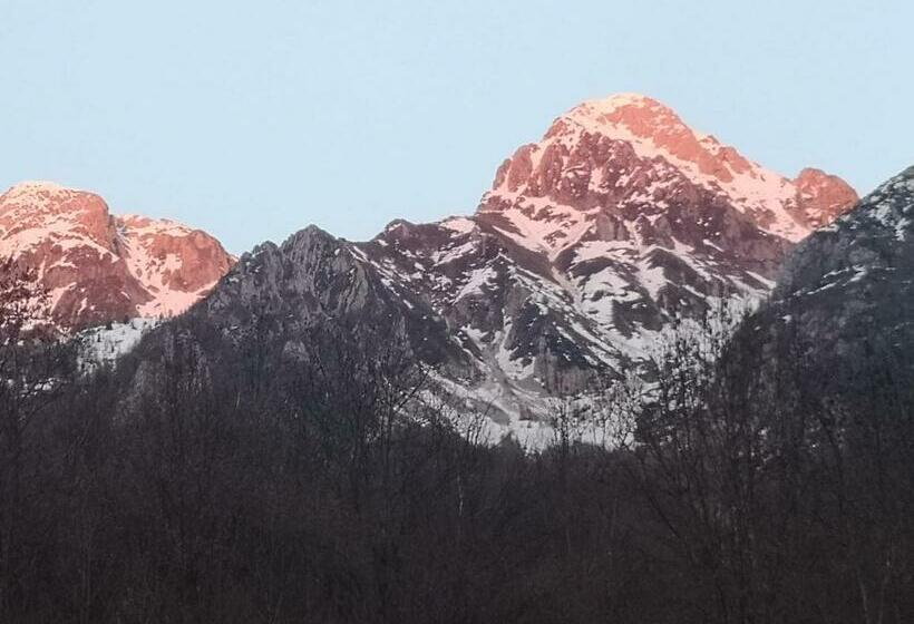 پانسیون Brocheta Guest House