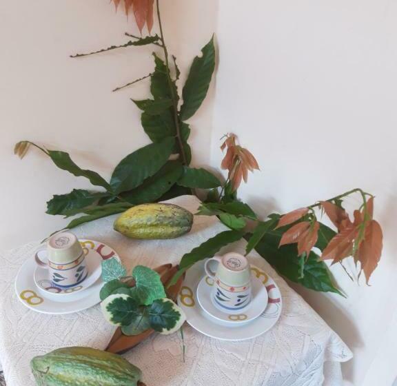 بنسيون Cocoa Cabana