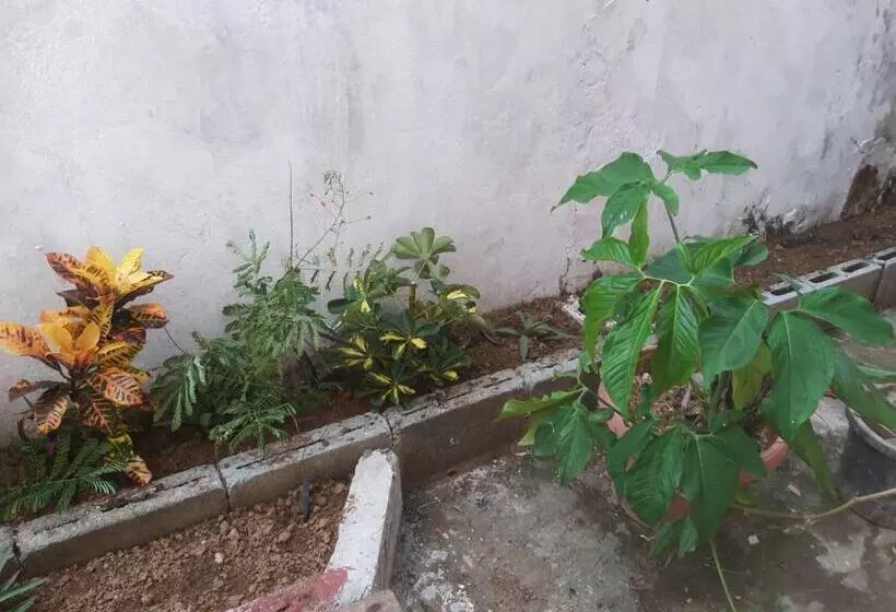 پانسیون Cocoa Cabana