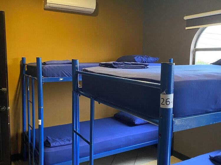 Alajuela Backpackers Airport Hostel