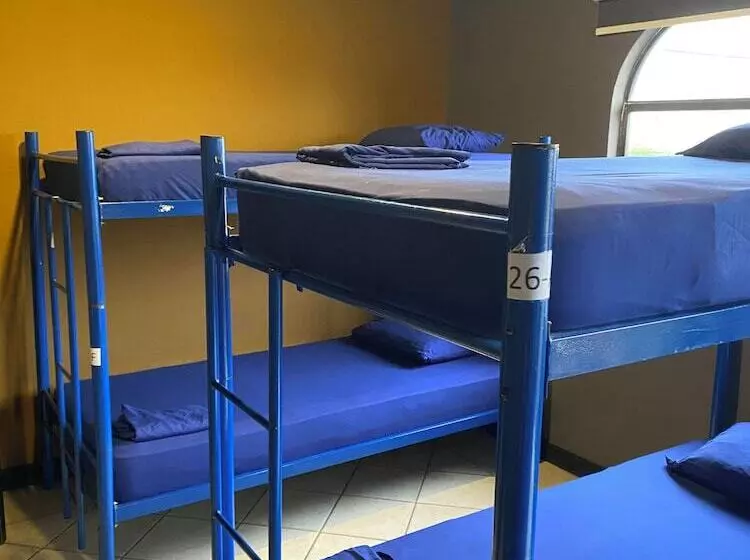 Alajuela Backpackers Airport Hostel