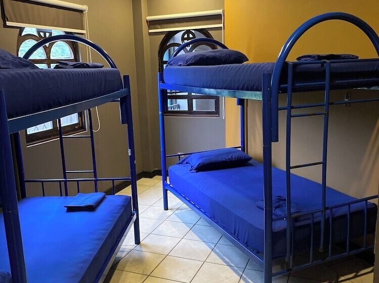 Alajuela Backpackers Airport Hostel