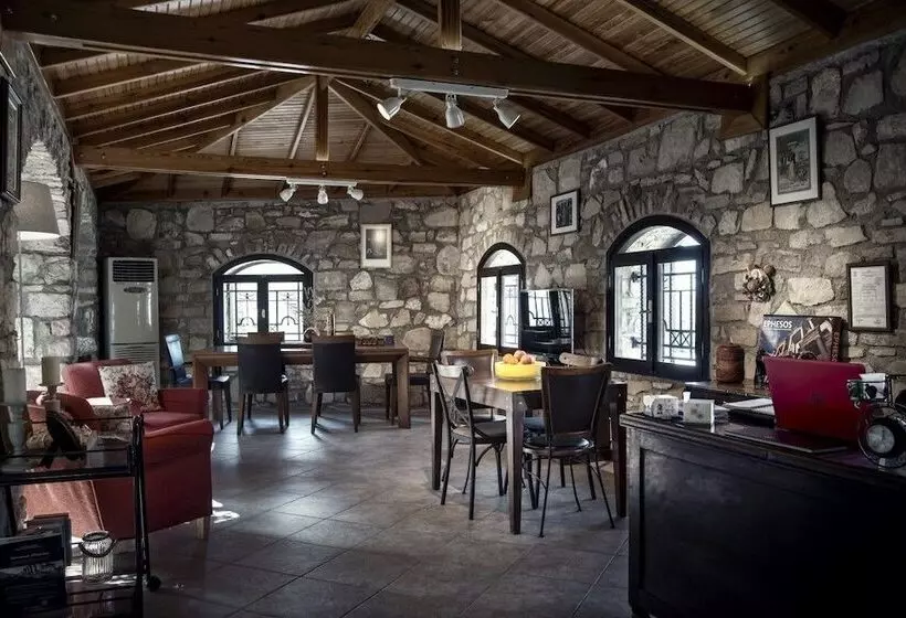 Отель Artemis Selcuk Suites