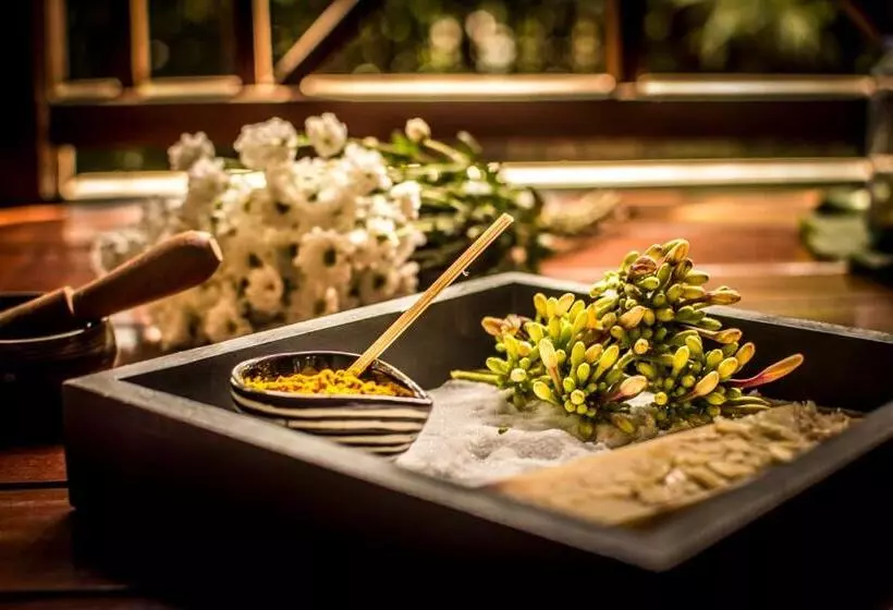 هتل Viewpoint Ecolodge