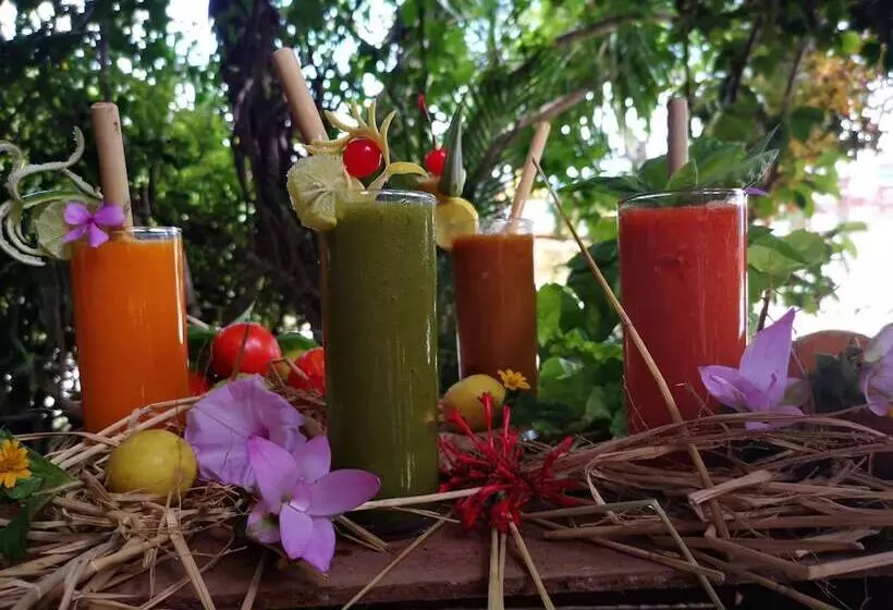 هتل Viewpoint Ecolodge