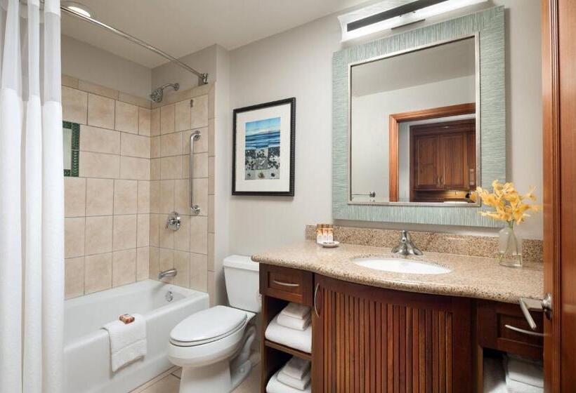 Marriott S Maui Ocean Club   Lahaina & Napili Towers