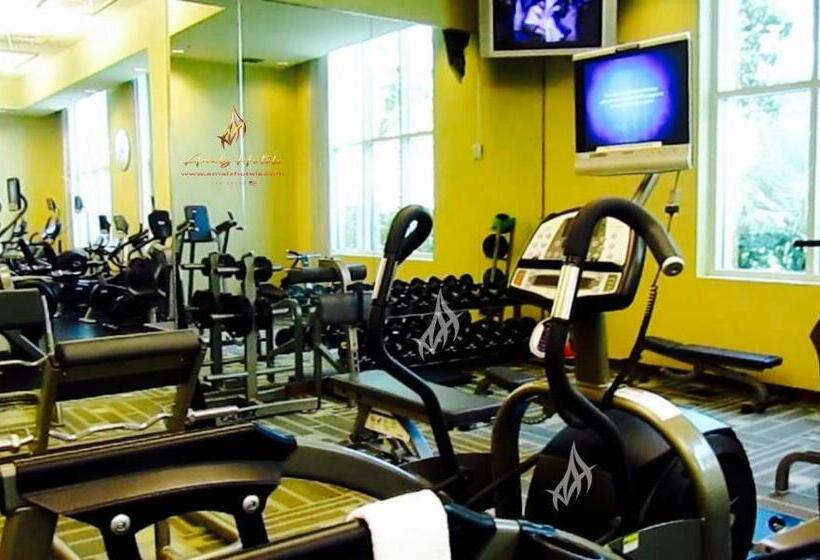 Stunning Balcony Strip View Mgm Signature Free Valet