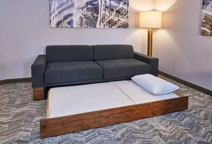 Hotelli Springhill Suites By Marriott Detroit Dearborn