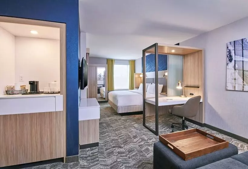 Hotelli Springhill Suites By Marriott Detroit Dearborn