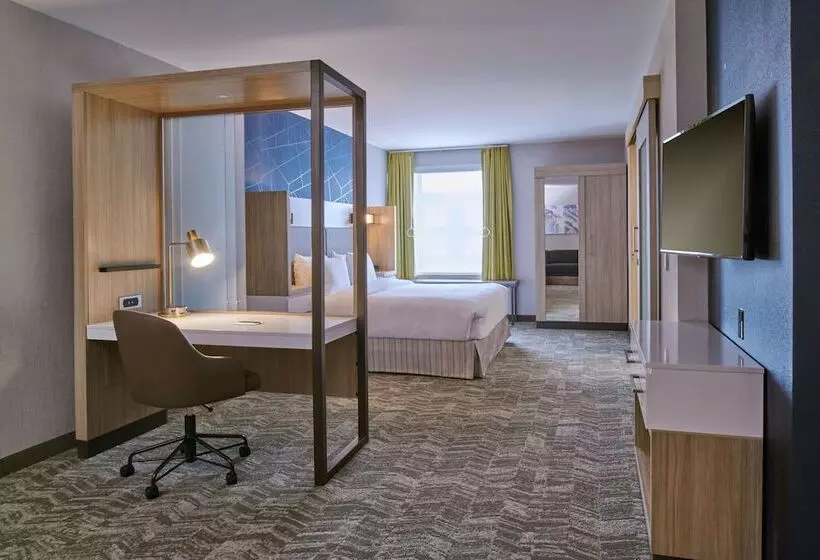 Hotelli Springhill Suites By Marriott Detroit Dearborn