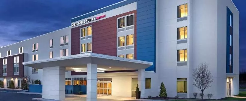 Hotelli Springhill Suites By Marriott Detroit Dearborn