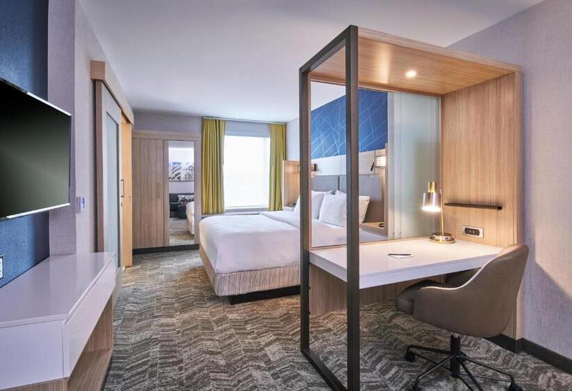 ホテル Springhill Suites By Marriott Detroit Dearborn