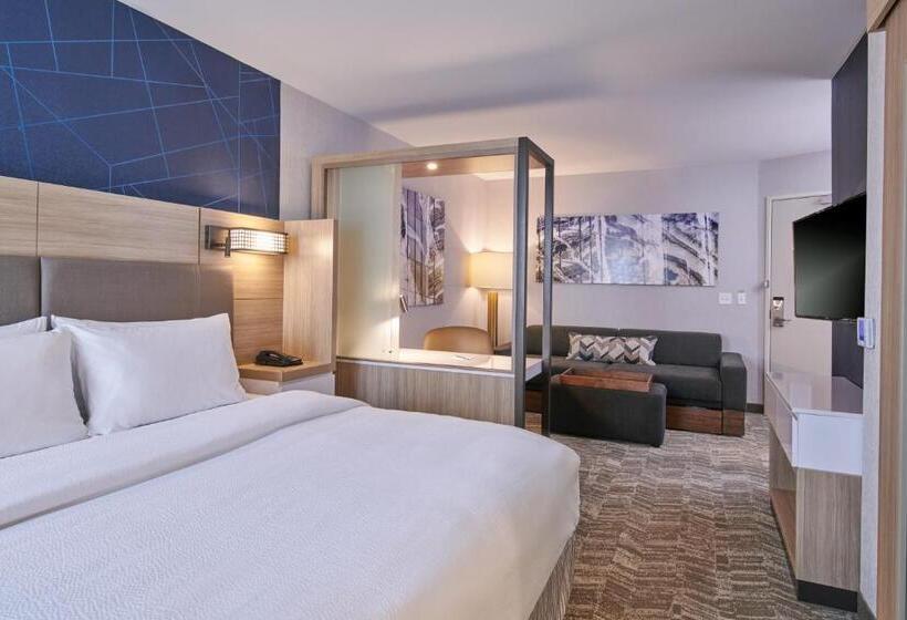 ホテル Springhill Suites By Marriott Detroit Dearborn