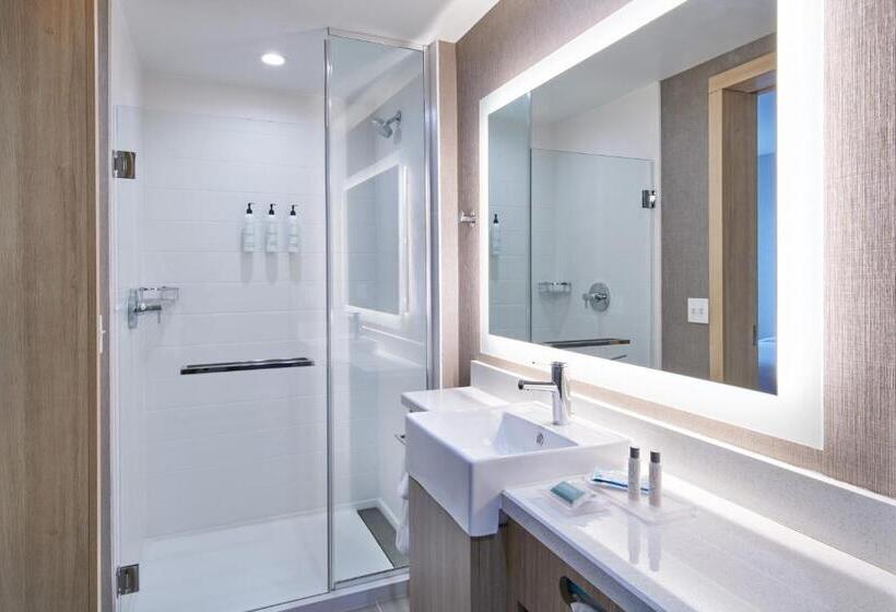 ホテル Springhill Suites By Marriott Detroit Dearborn