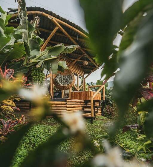 בית מלון כפרי The Coffee Club Campestre