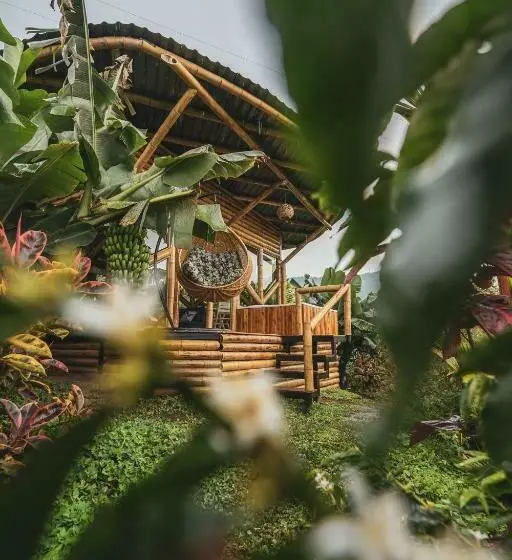 ホテル The Coffee Club Campestre