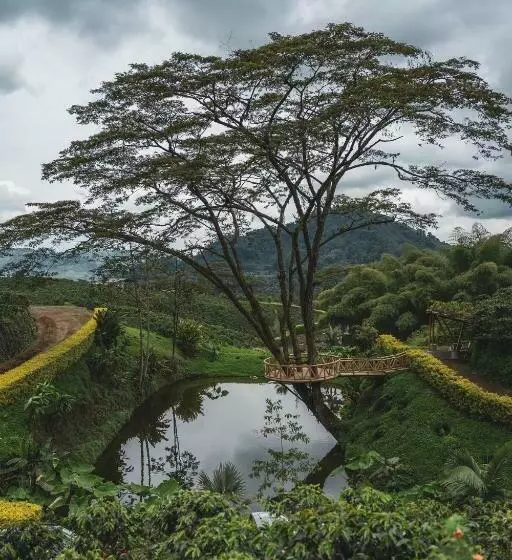 ホテル The Coffee Club Campestre