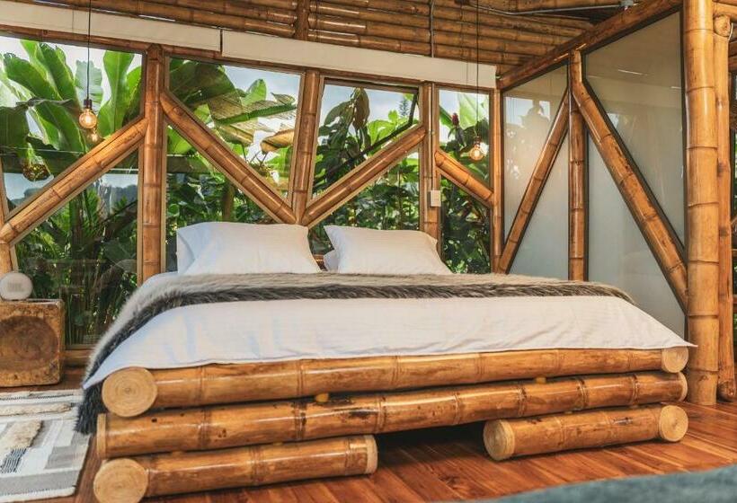 בית מלון כפרי The Coffee Club Campestre