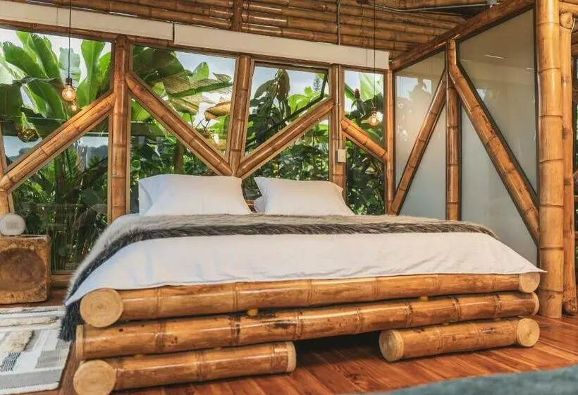 ホテル The Coffee Club Campestre