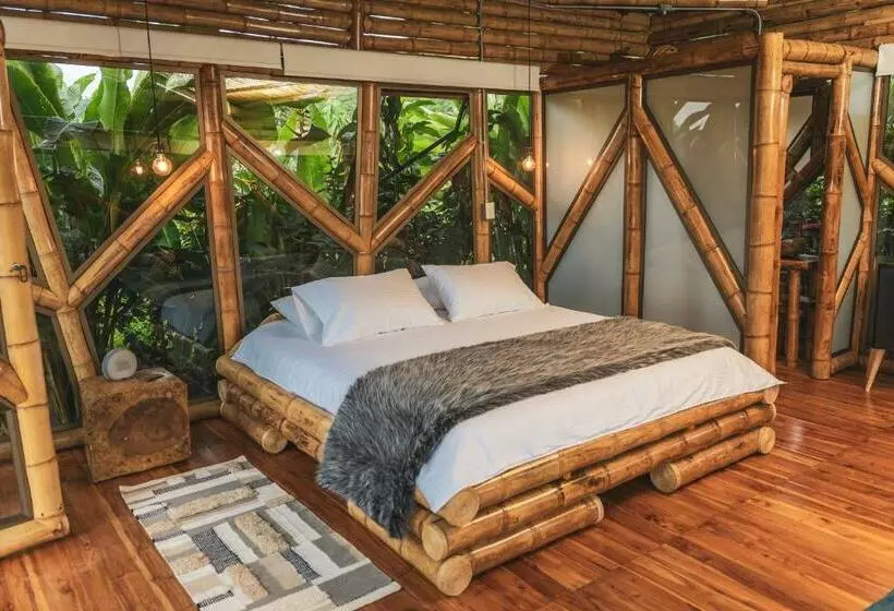 ホテル The Coffee Club Campestre