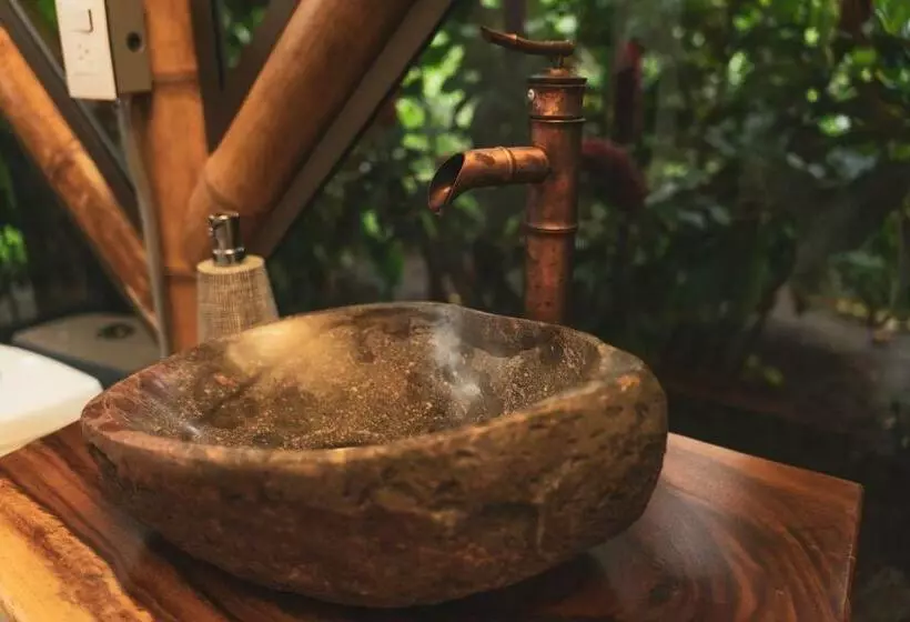 ホテル The Coffee Club Campestre