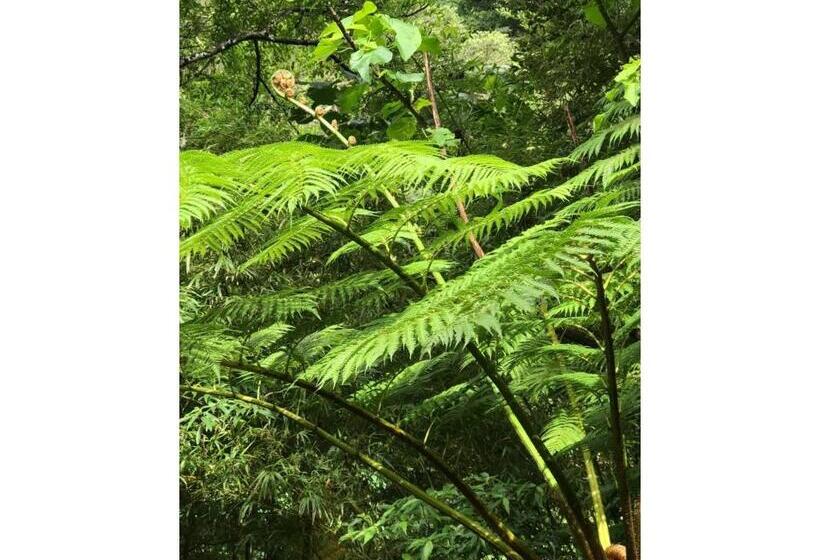 פנסיון Guest House Sumire   Vacation Stay 34298v