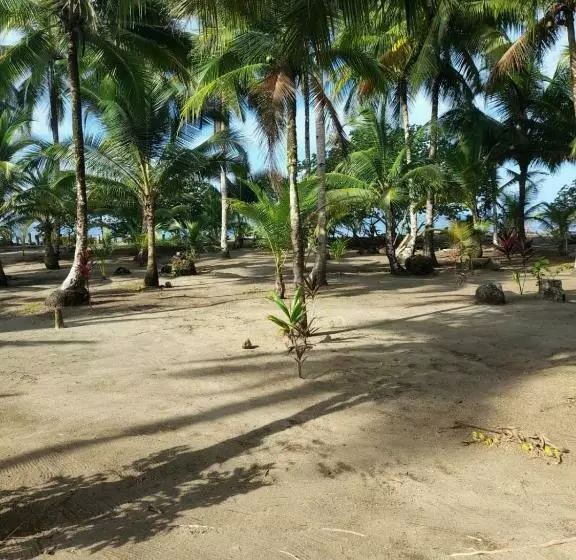 ペンション Hospedaje Doña Nel