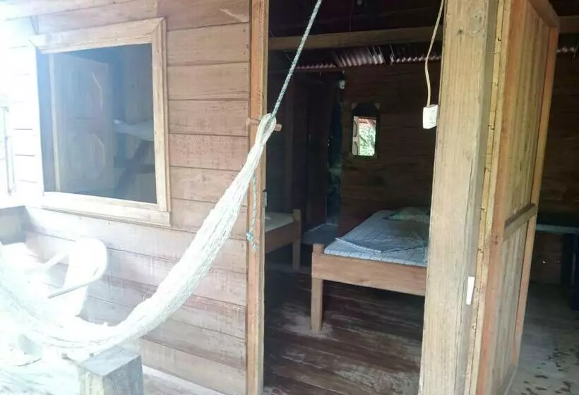 ペンション Hospedaje Doña Nel