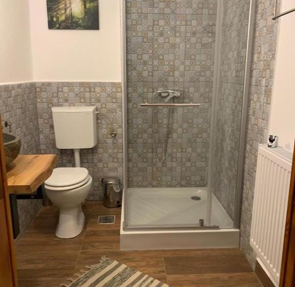 פנסיון Taverna Sasului