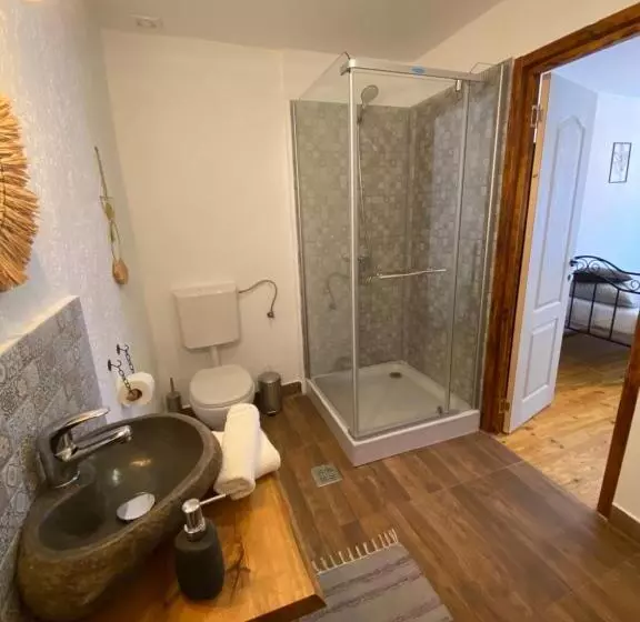 ペンション Taverna Sasului