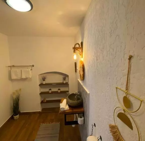 ペンション Taverna Sasului