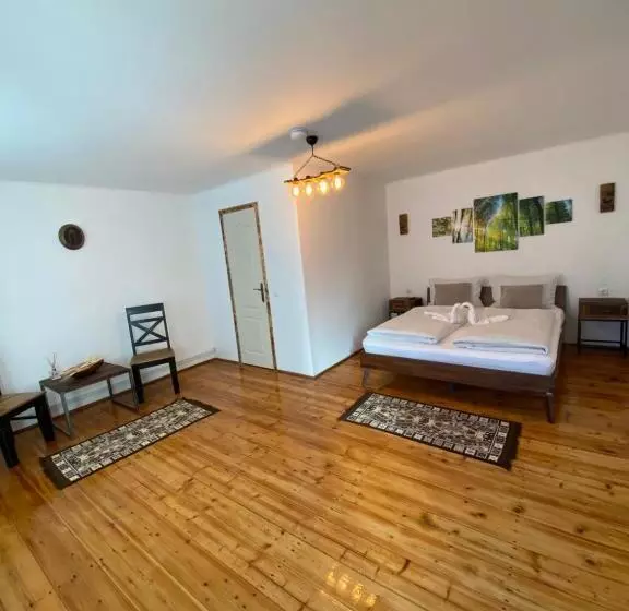 ペンション Taverna Sasului