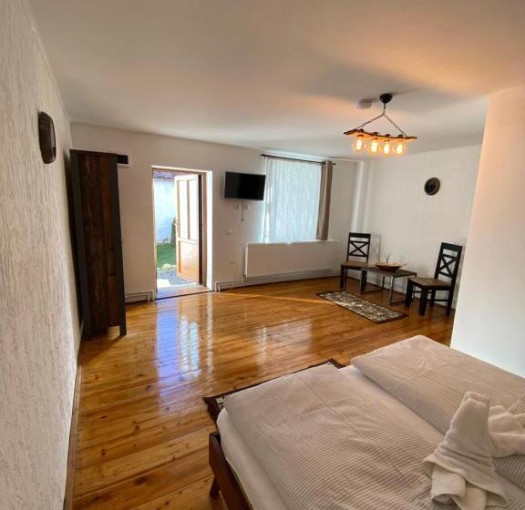 פנסיון Taverna Sasului