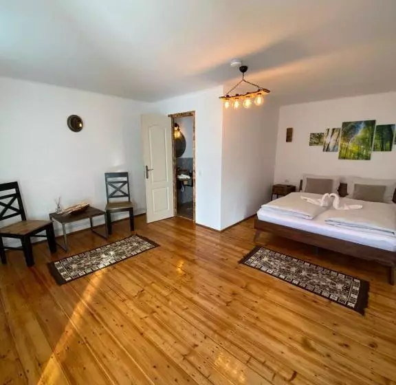 ペンション Taverna Sasului