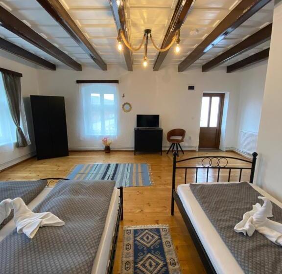 פנסיון Taverna Sasului