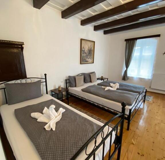 פנסיון Taverna Sasului